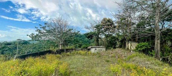 Land for sale in Puntarenas, Costa Rica № 1678 5
