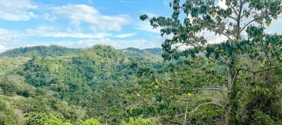 Land for sale in Puntarenas, Costa Rica № 1678 3