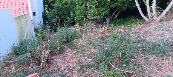 1 غرف نوم منزل في Alenquer, Portugal رقم 56496 2