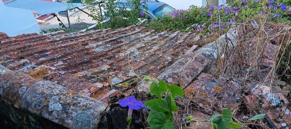 1 غرف نوم منزل في Alenquer, Portugal رقم 56496 6