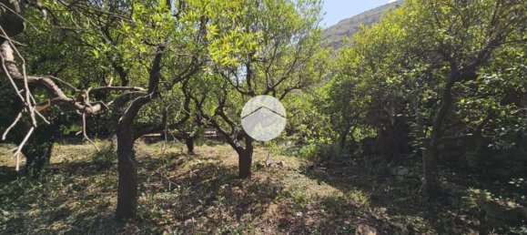 Дом с 2 комнатами в Палермо, Италия № 257751 5