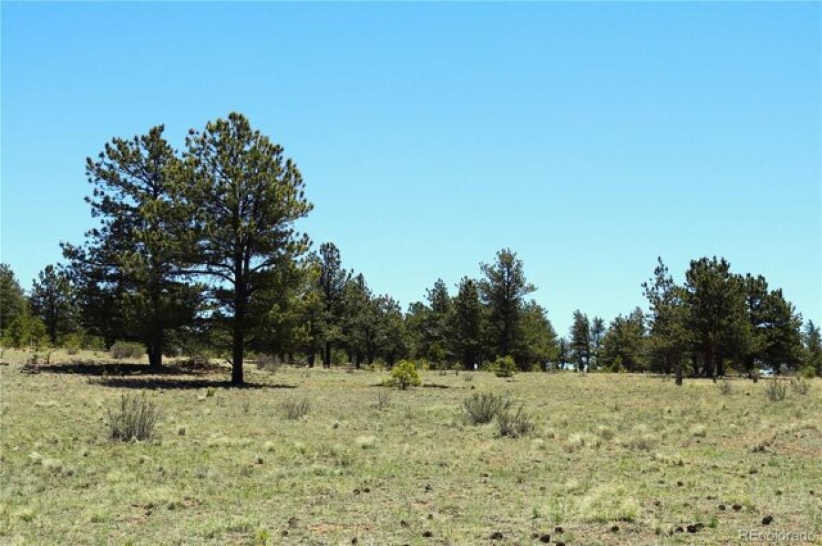  Land in Hartsel, USA No. 517405