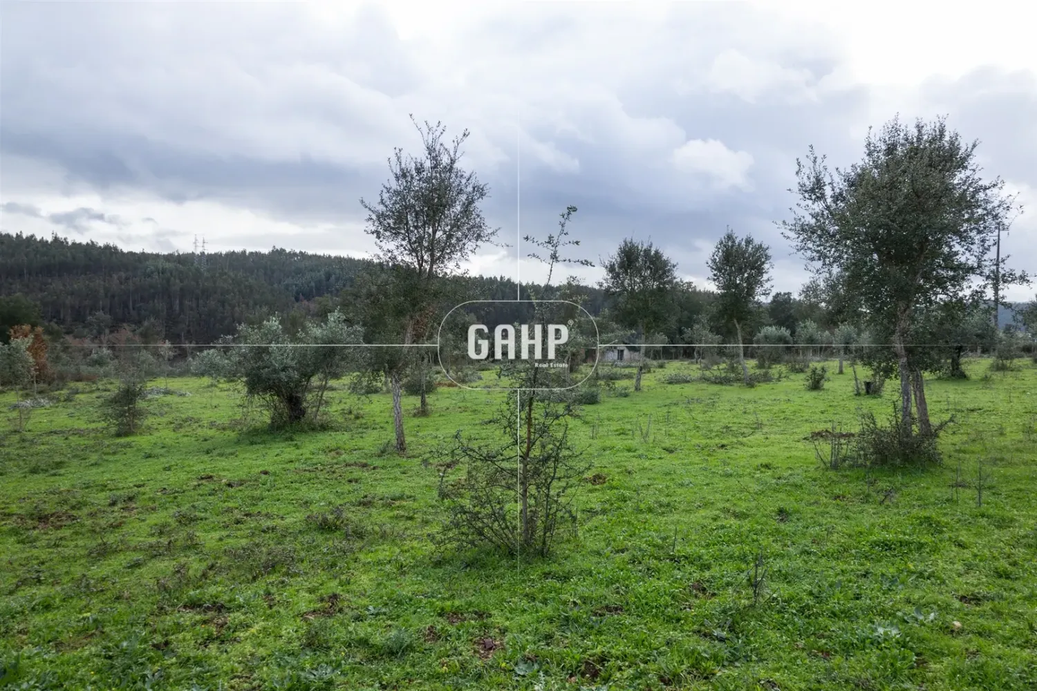  Land in Penacova, Portugal No. 87427