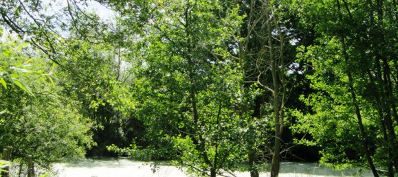 2 Schlafzimmer Haus in Maresche, France, Nr. 278006 9