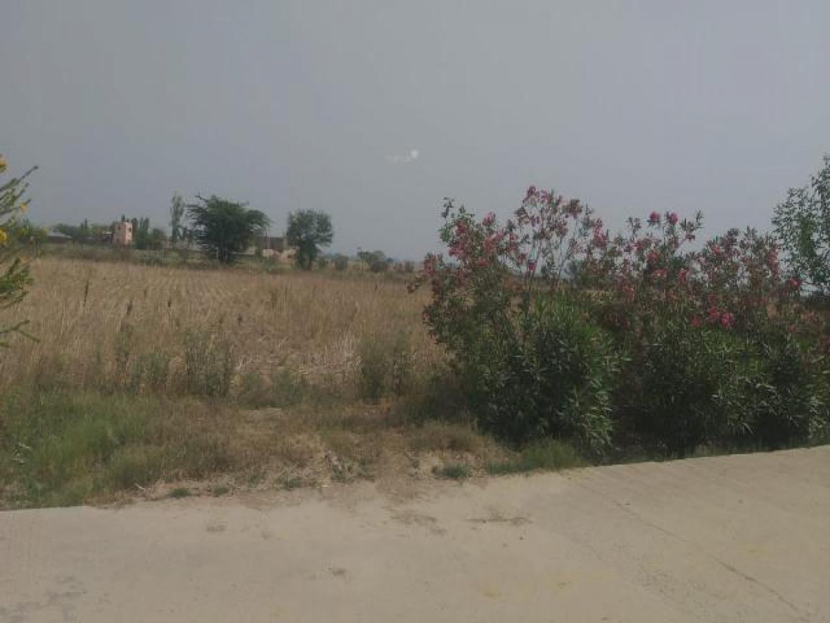  Land in Noida, India No. 65891