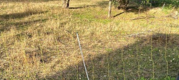 854m² Land in Wittenberg, Germany No. 190917 2