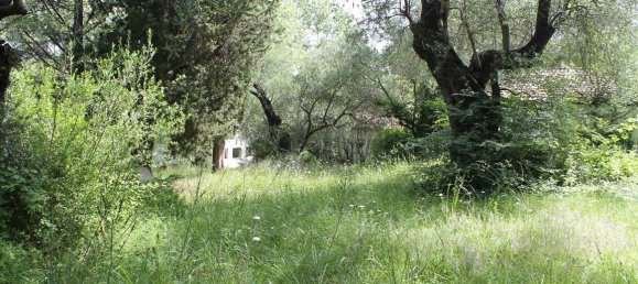 22000m² Hotel in Corfu, Greece No. 7800 6