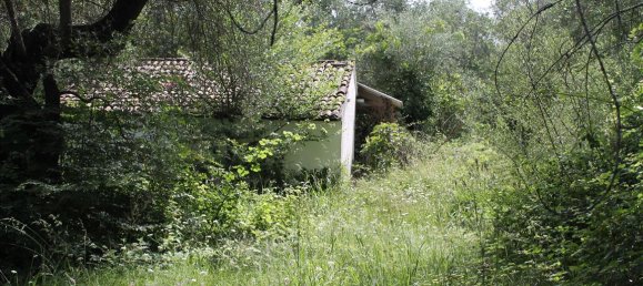 22000m² Hotel in Corfu, Greece No. 7800 7