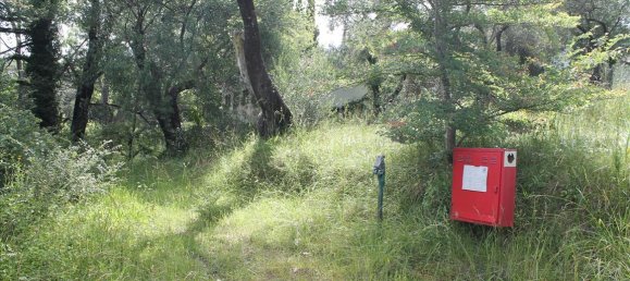 22000m² Hotel in Corfu, Greece No. 7800 8