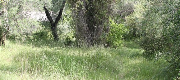 22000m² Hotel in Corfu, Greece No. 7800 5