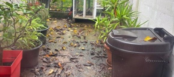 4 Schlafzimmer Haus in Rivery, France, Nr. 215946 4