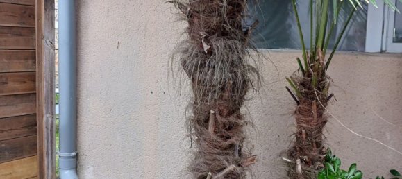 Дом с 6 спальнями в Брессюир, Франция № 111537 18