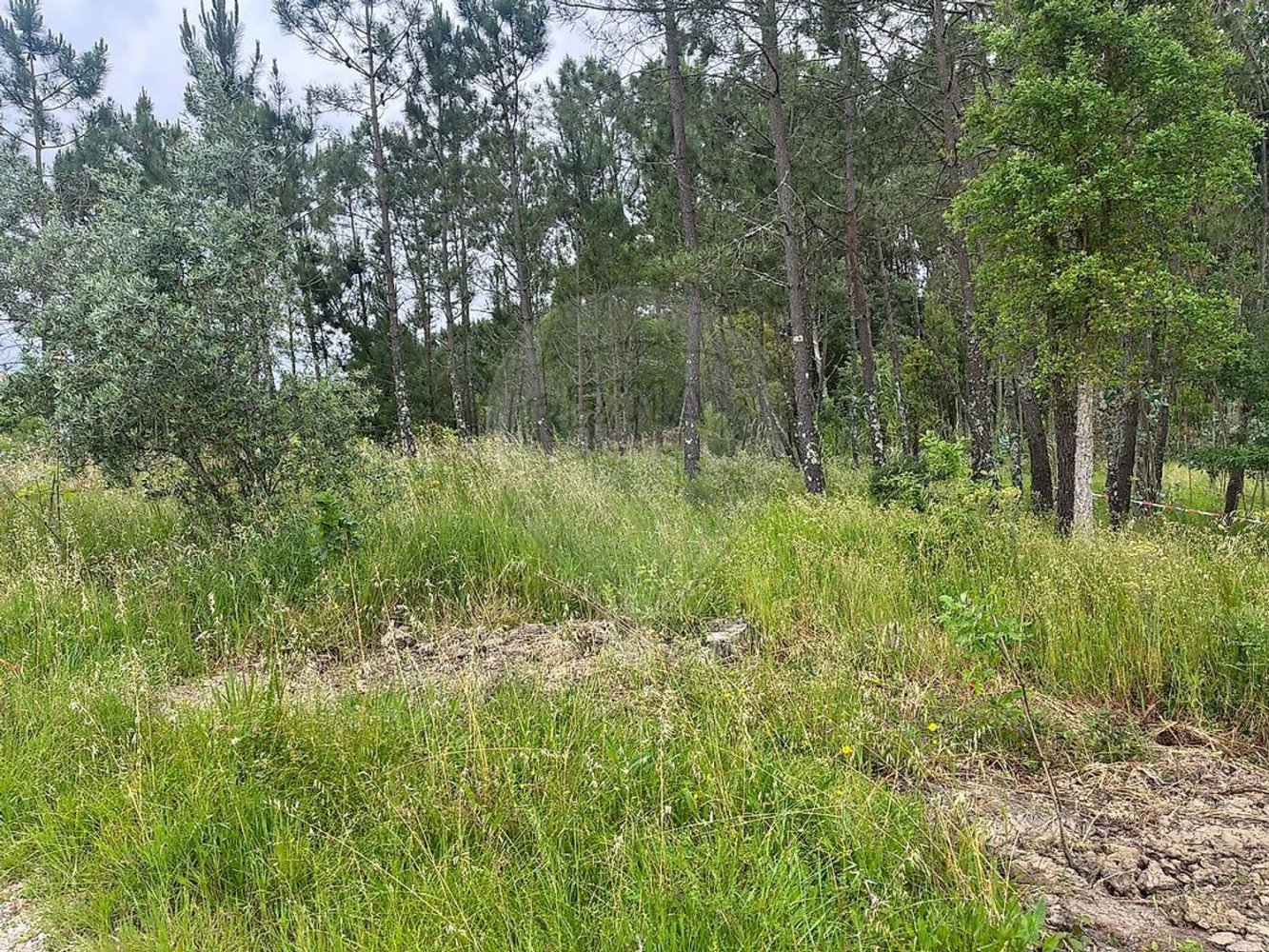  Land in Leiria, Portugal No. 201713