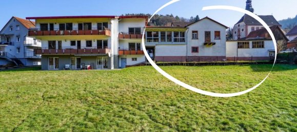  مقهى / مطعم في Bergstrase, Germany 445متر مربع رقم 365935 5