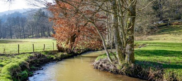  مقهى / مطعم في Bergstrase, Germany 445متر مربع رقم 365935 2