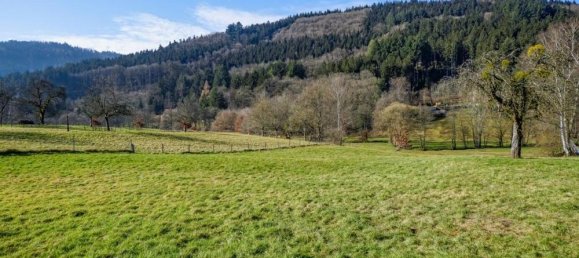  مقهى / مطعم في Bergstrase, Germany 445متر مربع رقم 365935 3