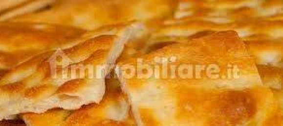 3-salle Propriété commerciale à Savona, Italy No. 189159 26