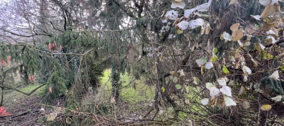 5 rooms House in Bellinzago Novarese, Italy No. 82864 44