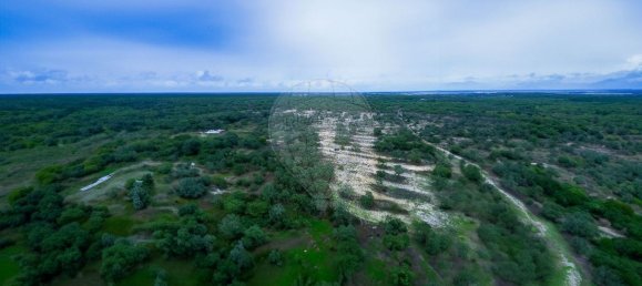 Grundstück in Palmela, Portugal 371250m², Nr. 82265 2