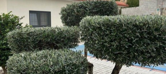 3 bedrooms Villa in Vila Real, Portugal No. 127235 8