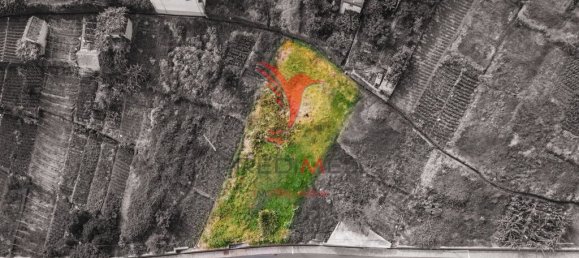 Terrain à Calheta, Portugal 1008m² No. 89514 2