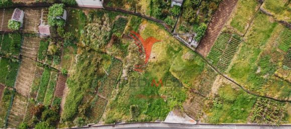 Terrain à Calheta, Portugal 1008m² No. 89514 5