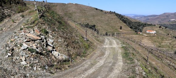 9 غرف نوم قلاع في Castanheiro do Sul, Portugal رقم 76324 35