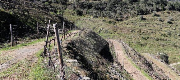 9 غرف نوم قلاع في Castanheiro do Sul, Portugal رقم 76324 37