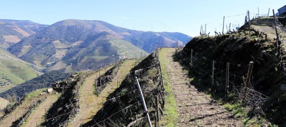 9 غرف نوم قلاع في Castanheiro do Sul, Portugal رقم 76324 21