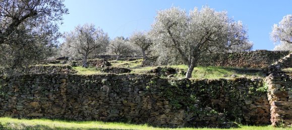 9 غرف نوم قلاع في Castanheiro do Sul, Portugal رقم 76324 16