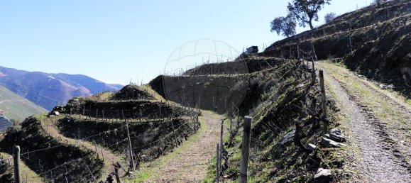 9 غرف نوم قلاع في Castanheiro do Sul, Portugal رقم 76324 23