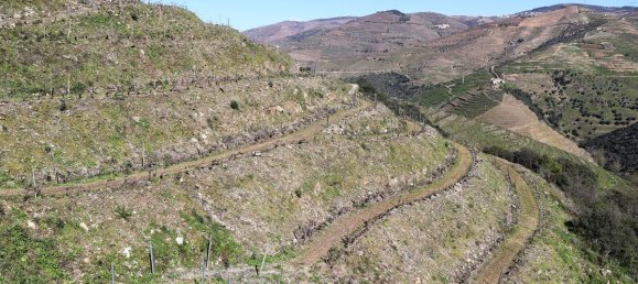 9 غرف نوم قلاع في Castanheiro do Sul, Portugal رقم 76324 46