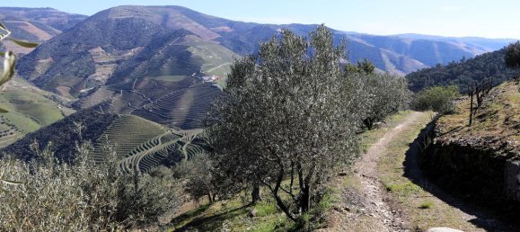 9 غرف نوم قلاع في Castanheiro do Sul, Portugal رقم 76324 6