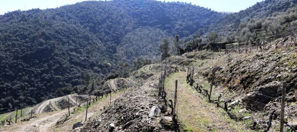 9 غرف نوم قلاع في Castanheiro do Sul, Portugal رقم 76324 26