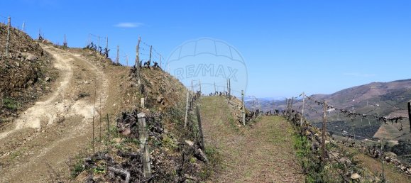 9 غرف نوم قلاع في Castanheiro do Sul, Portugal رقم 76324 27