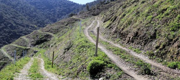 9 غرف نوم قلاع في Castanheiro do Sul, Portugal رقم 76324 32