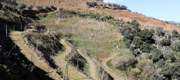 9 غرف نوم قلاع في Castanheiro do Sul, Portugal رقم 76324 13