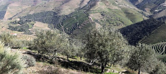 9 غرف نوم قلاع في Castanheiro do Sul, Portugal رقم 76324 7