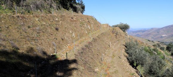 9 غرف نوم قلاع في Castanheiro do Sul, Portugal رقم 76324 9