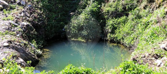 9 غرف نوم قلاع في Castanheiro do Sul, Portugal رقم 76324 48