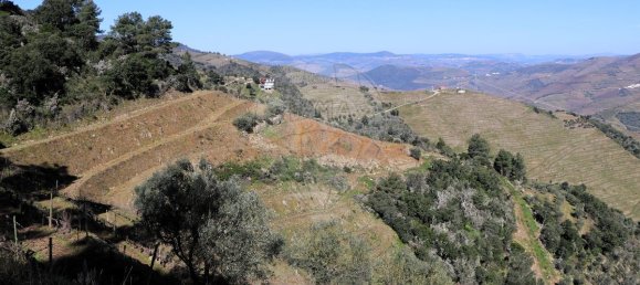 9 غرف نوم قلاع في Castanheiro do Sul, Portugal رقم 76324 3