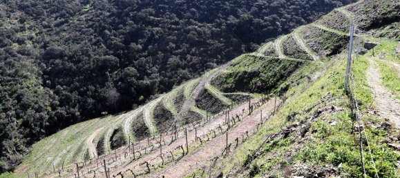 9 غرف نوم قلاع في Castanheiro do Sul, Portugal رقم 76324 33