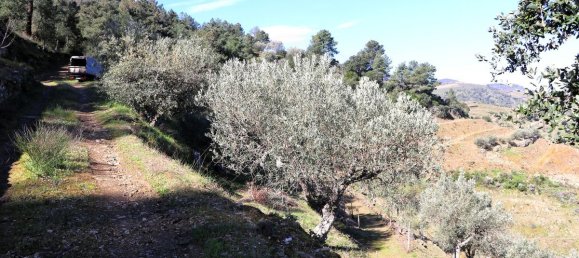 9 غرف نوم قلاع في Castanheiro do Sul, Portugal رقم 76324 4