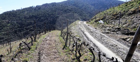 9 غرف نوم قلاع في Castanheiro do Sul, Portugal رقم 76324 36