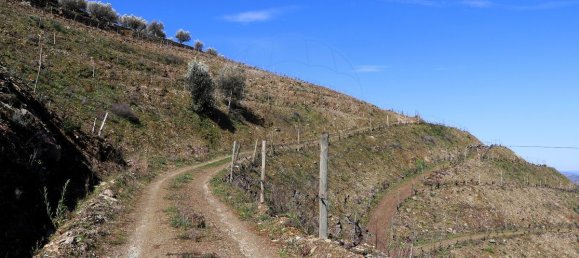 9 غرف نوم قلاع في Castanheiro do Sul, Portugal رقم 76324 29