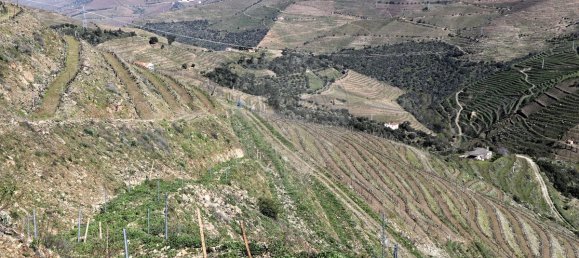 9 غرف نوم قلاع في Castanheiro do Sul, Portugal رقم 76324 31