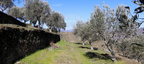 9 غرف نوم قلاع في Castanheiro do Sul, Portugal رقم 76324 17