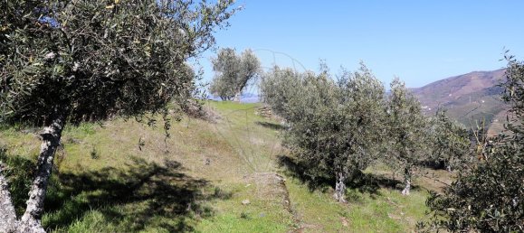 9 غرف نوم قلاع في Castanheiro do Sul, Portugal رقم 76324 18