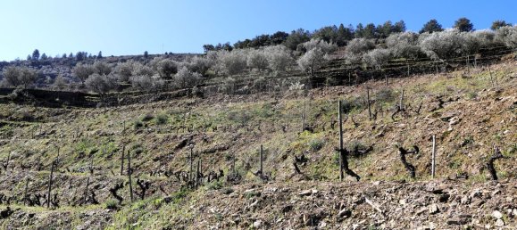 9 غرف نوم قلاع في Castanheiro do Sul, Portugal رقم 76324 28