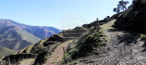 9 غرف نوم قلاع في Castanheiro do Sul, Portugal رقم 76324 25